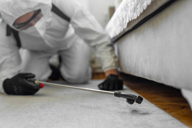 Professional Bed Bug Control technician working in Chester County County, TN